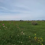 Forsthaus Nicolai شقة *