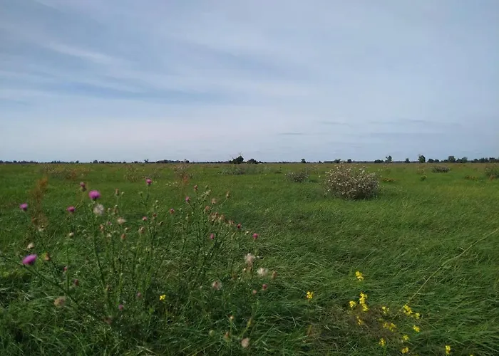 Forsthaus Nicolai דירה *